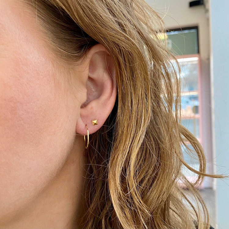 Faceted Sleeper Earrings