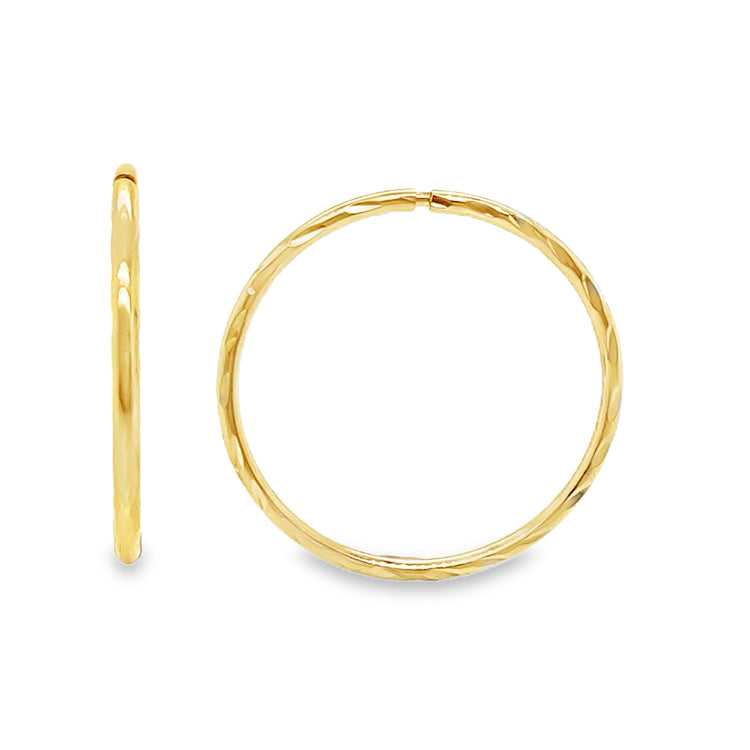 Faceted Sleeper Earrings