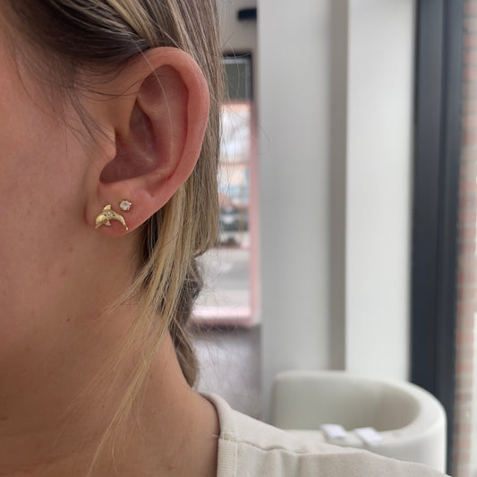 Diamond Cut Dolphin Studs