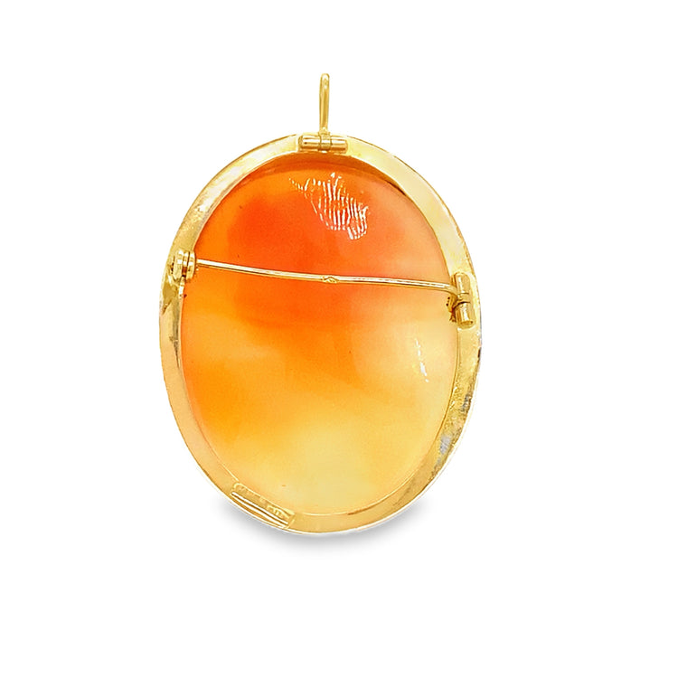 Large Cameo Pin/Pendant